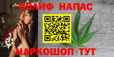 мдпв Новозыбков