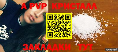 спиды Новодвинск